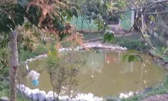 Imagem 7: Vendo Sítio em Marambaia, Tinguá R$ 250,000