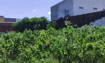 Imagem 4: Vendo excelente terreno