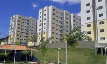 Imagem 3: Leve Castanheiras