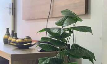 Imagem 6: Casa na praia de caioba - reveillon já locado