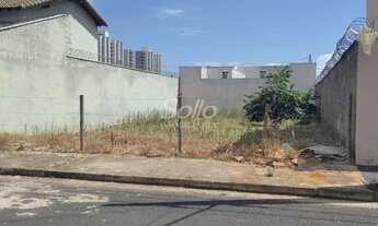 Imagem 3: Venda Terreno SANTA MÔNICA