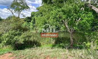 Imagem 6: Chácara 4 alqueires (19,72 hectares) Goianira -Go