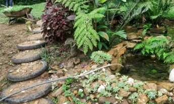 Imagem: Linda chácara à venda