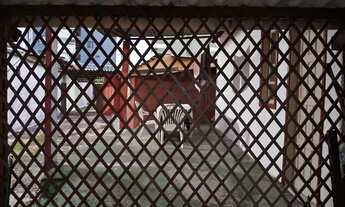 Imagem 6: Kitinete Temporada mobiliada na Praia de Armação em Condomínio fechado, próx. C.Convenções