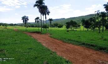 Imagem 2: Fazenda à Venda em Bom Jardim de Goiás 80 Alqueires Ideal para Pecuária