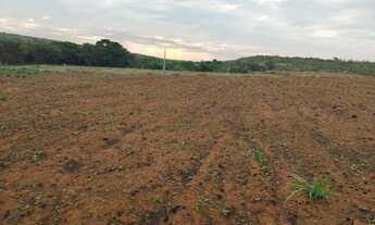 Imagem 4: VENDA/TROCA TERRENO COM 4 HECTARES, BEIRA RIO!!