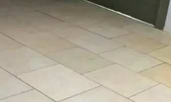 Imagem 3: Casa à venda na Vila Alpes em São Carlos/SP