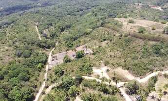 Imagem: Terreno Amplo de 2.737m² à Venda na Laje