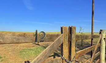 Imagem: Pequeno Sitio_RIO NO FUNDO e ASFALTO na