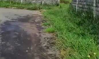 Imagem: Area 10.986m² (Asfalto e Agua) American