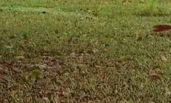 Imagem 7: Vendo lindo sítio em retiro do congo