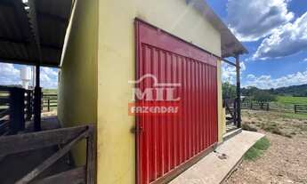 Imagem 3: Chácara 5,12 Alqueire (24,78 hectares) Mairipotaba - Go