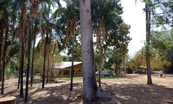 Imagem 6: Fazenda 65 alquires em Baliza GO