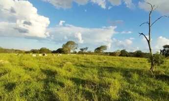 Imagem 2: A&M IMOVEIS VENDE EXELENTE FAZENDA COM 180HECTARES EM PARACATU MG
