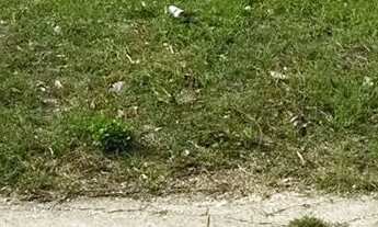 Imagem: Cond. Vista Lagoa, excelente Lote nascente