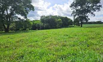 Imagem 4: Área 24 hectares, Rio Verde - GO