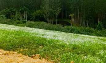 Imagem 6: Terrenos Próx. ao Shopping Plaza Cotia