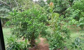 Imagem 2: Chácara para venda tem 5000 metros quadrados com 3 quartos em Zona Rural - Hidrolândia - G