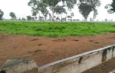 Imagem: Fazenda à venda com 2.366 Hectares no município