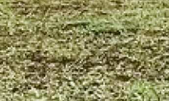 Imagem 2: COMERCIAL - CHÁCARA REMANSO (CAUCAIA DO ALTO) - SP