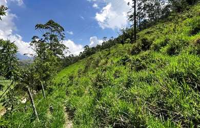 Imagem 6: Terreno à venda, 990 m² por R$ 70.000,00 - Salinas - Nova Friburgo/RJ