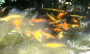 Imagem 7: CASA A VENDA EM CONDOMÍNIO -LAURO DE FREITAS /BA