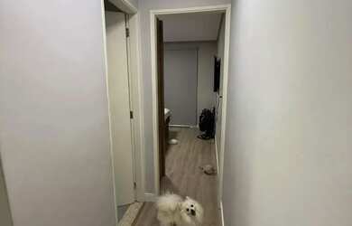 Imagem 7: Imóvel com 2 quartos em Capão Redondo - São Paulo - SP