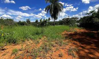 Imagem 3: Lote Mateus Leme