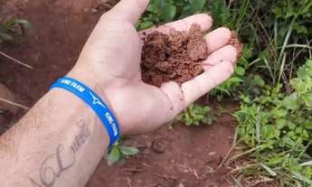 Imagem 3: Fazenda à Venda em Heitoraí GO | 50 Alqueires