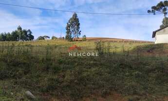 Imagem 3: Chácara em Estrada Pedro Oliveira - Cascatinha - Tijucas do Sul/PR