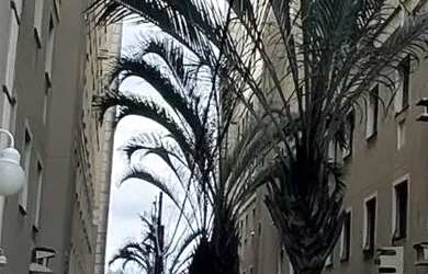 Imagem 7: APARTAMENTO 2/4 SPAZIO SOLARIUM