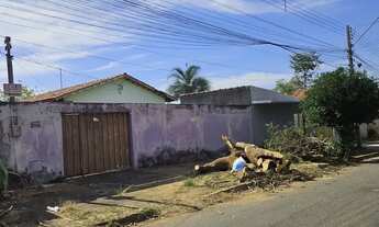 Imagem: Lote 360,00m² (Asfalto, Agua, Esgoto) Setor