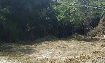 Imagem 7: Lote em taquaracu de minas 1000 metros cercado