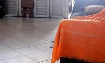 Imagem 3: CASA NA HUMAITÁ