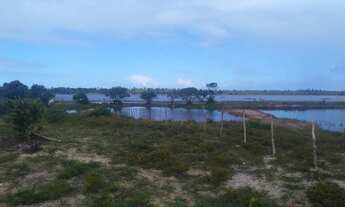 Imagem 5: Fazenda/Sítio/Chácara para venda em Praia do abais - Estância - Sergipe