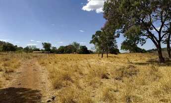 Imagem 2: Chácara 06 alqueires em Crixás Goiás, casa, curral, energia, plana, 05 divisões de pastos