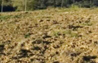 Imagem 3: Terrenos para chalés no interior de SP