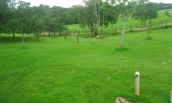 Imagem: 50 alqueire(250 hectares)toda no pasto por