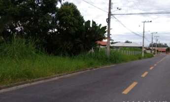 Imagem 3: Ótimo Terreno de 1.395m2 em área Nobre de Timbó - Rua Minas Gerais - Oportunidade