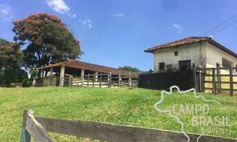 Imagem 5: Campo Brasil Imóveis, realizando seu sonho rural! Fazenda de 150aq no Vale do Paraíba