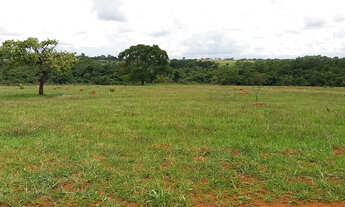 Imagem 4: Lotes a prestação no loteamento Benjamin em Hidrolândia prox.do lago