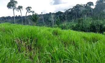 Imagem: Fazendinha 40 alqueires com 30 de abertura!