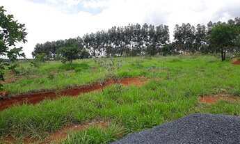 Imagem 7: Fazendinhas de 20.000m2 prontas com entrada de R$88.000,00 + Parcelas