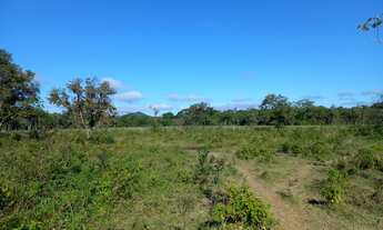 Imagem: Fazenda/Sítio/Chácara para venda tem 0