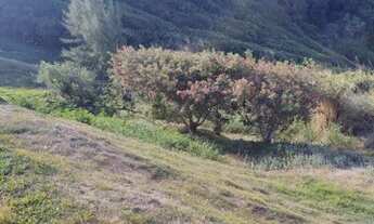 Imagem 5: VENDO EXCELENTES TERRENOS EM PRAIA DAS FOCAS - BÚZIUS