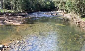 Imagem 5: Terreno de 6 hectare em Urubici