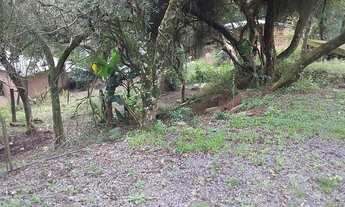 Imagem 6: Oportunidade única