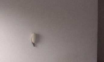 Imagem 4: Apartamento térreo com quintal para alugar com 01 dormitório