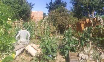 Imagem 2: Casa para venda Casa com 3 dormitórios