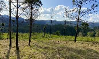 Imagem 4: Paraíso lindo em Mairiporã